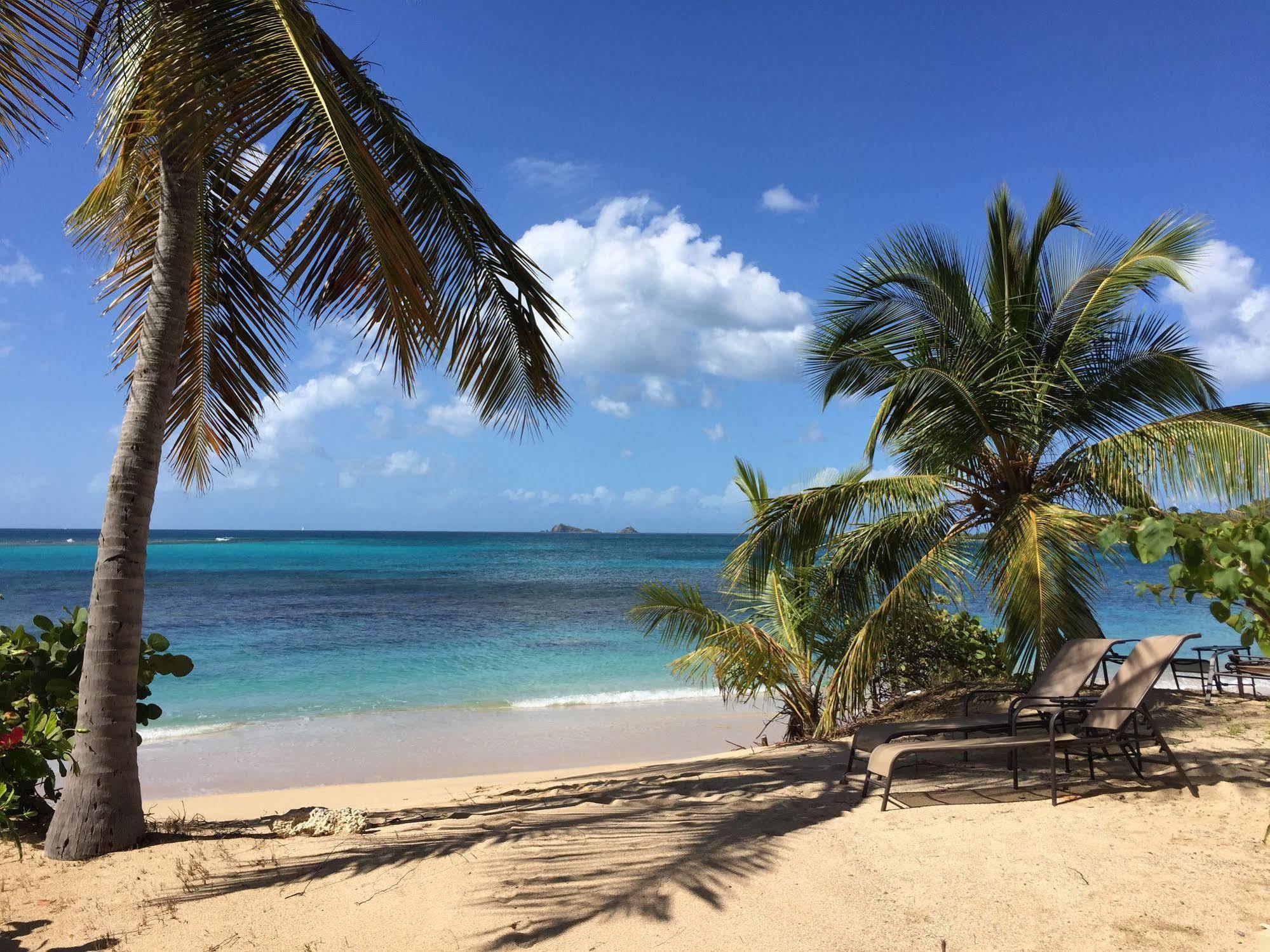 Mango Bay Resort Spanish Town Eksteriør billede