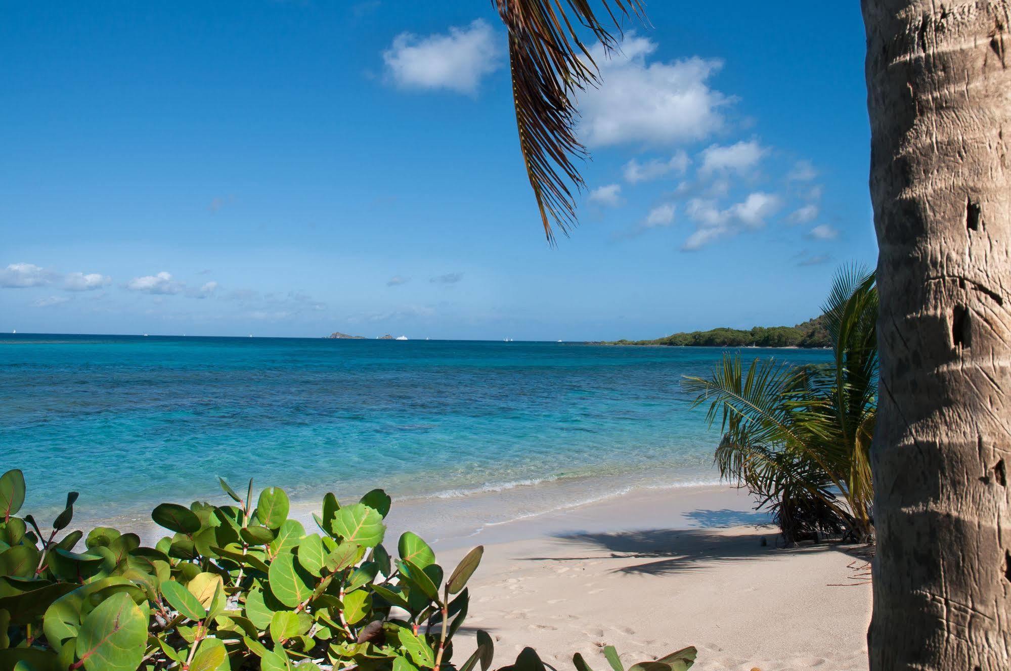 Mango Bay Resort Spanish Town Eksteriør billede